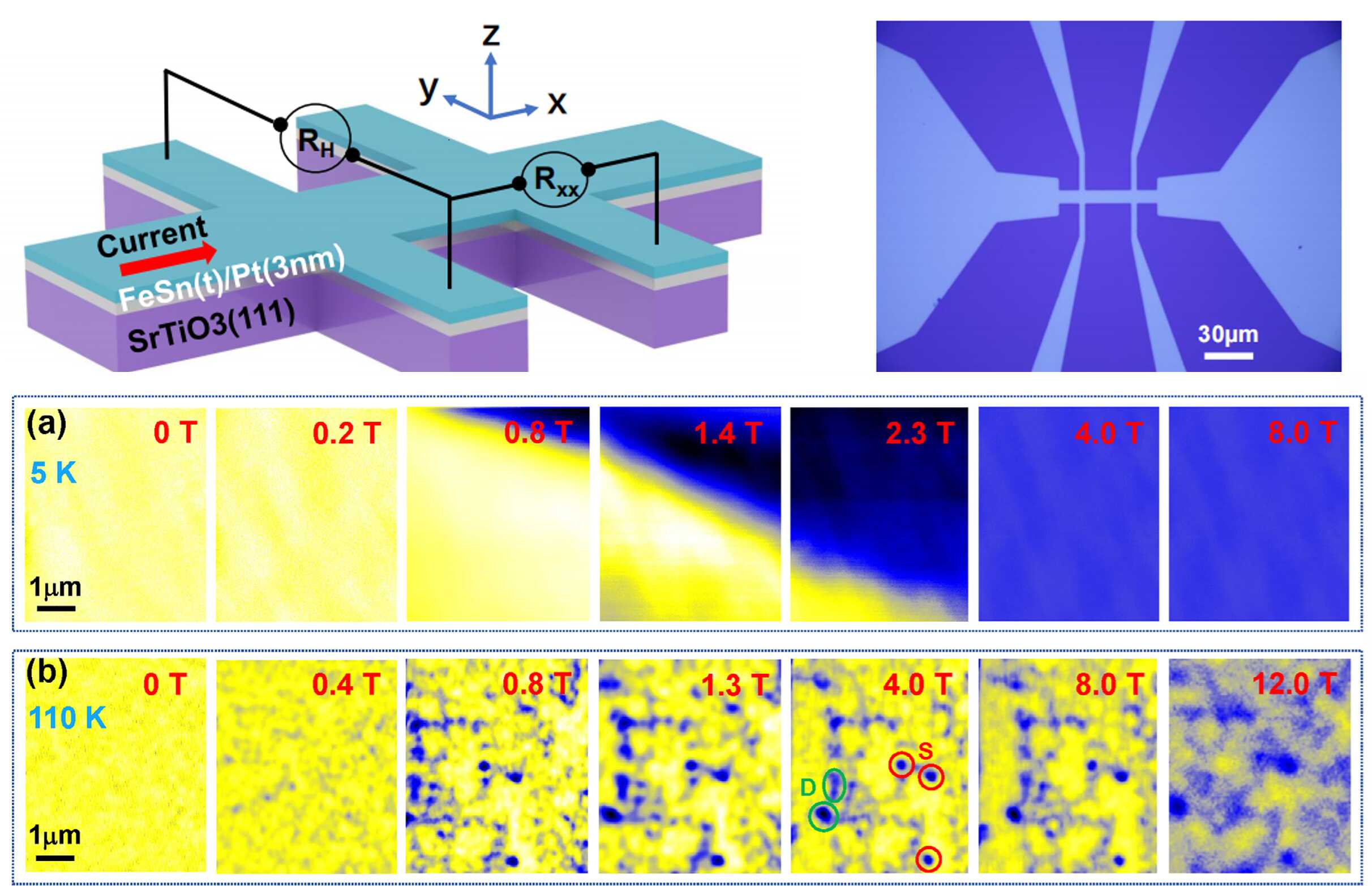 Anomalous Magnetoresistance Observed in an Antiferromagnetic Kagome Semimetal