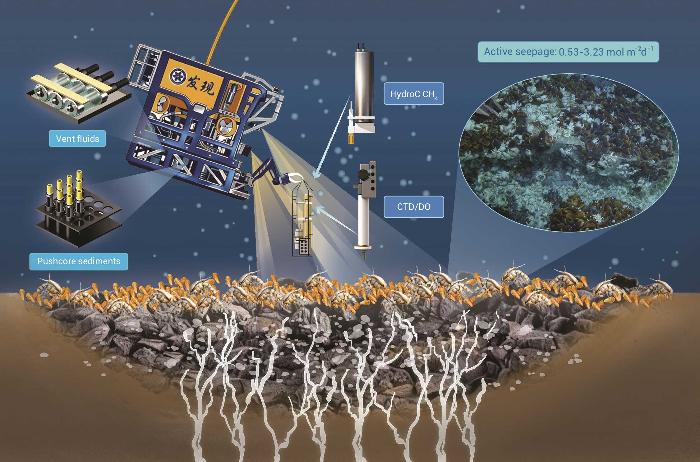 Scientists Discover Methane Emissions from South China Sea Cold Seeps Far Exceed Previous Estimates