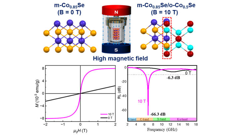 High Magnetic Field Empowers Synthesis of Heterophase Co<sub>x</sub>Se Nanosheets with Exceptional Microwave Absorption