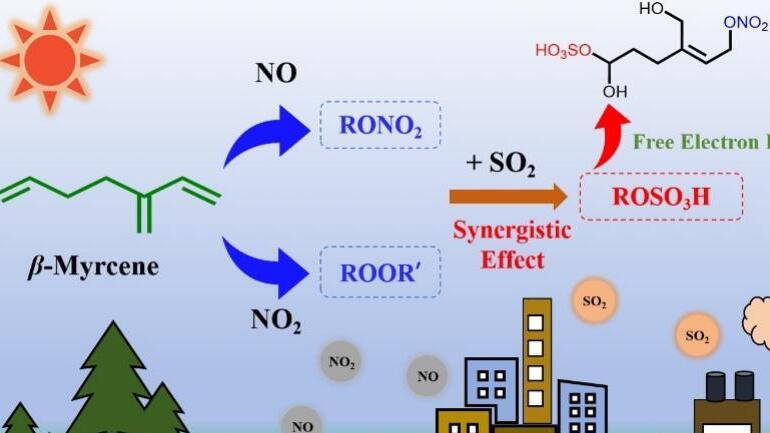 Researchers Utilize Dalian Coherent Light Source to Reveal Distinct Roles of NO<sub>2</sub> versus NO and Synergisms with SO<sub>2</sub> in β-Myrcene Photooxidation