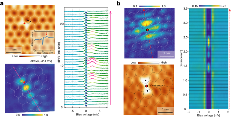 Researchers Observe Exotic Quasiparticle States in Kagome Superconductor CsV<sub>3</sub>Sb<sub>5</sub>