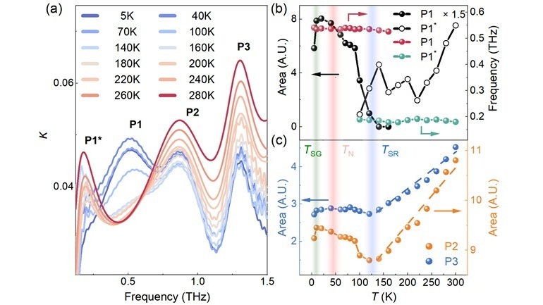 Spin-phonon Coupling Observed Without Long-range Magnetic Order