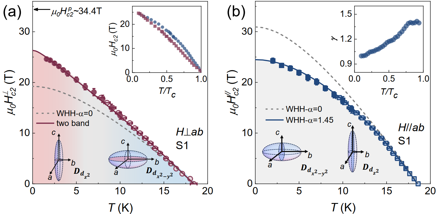 Researchers Reveal Nearly Isotropic Superconducting Property in Trilayer Nickelate