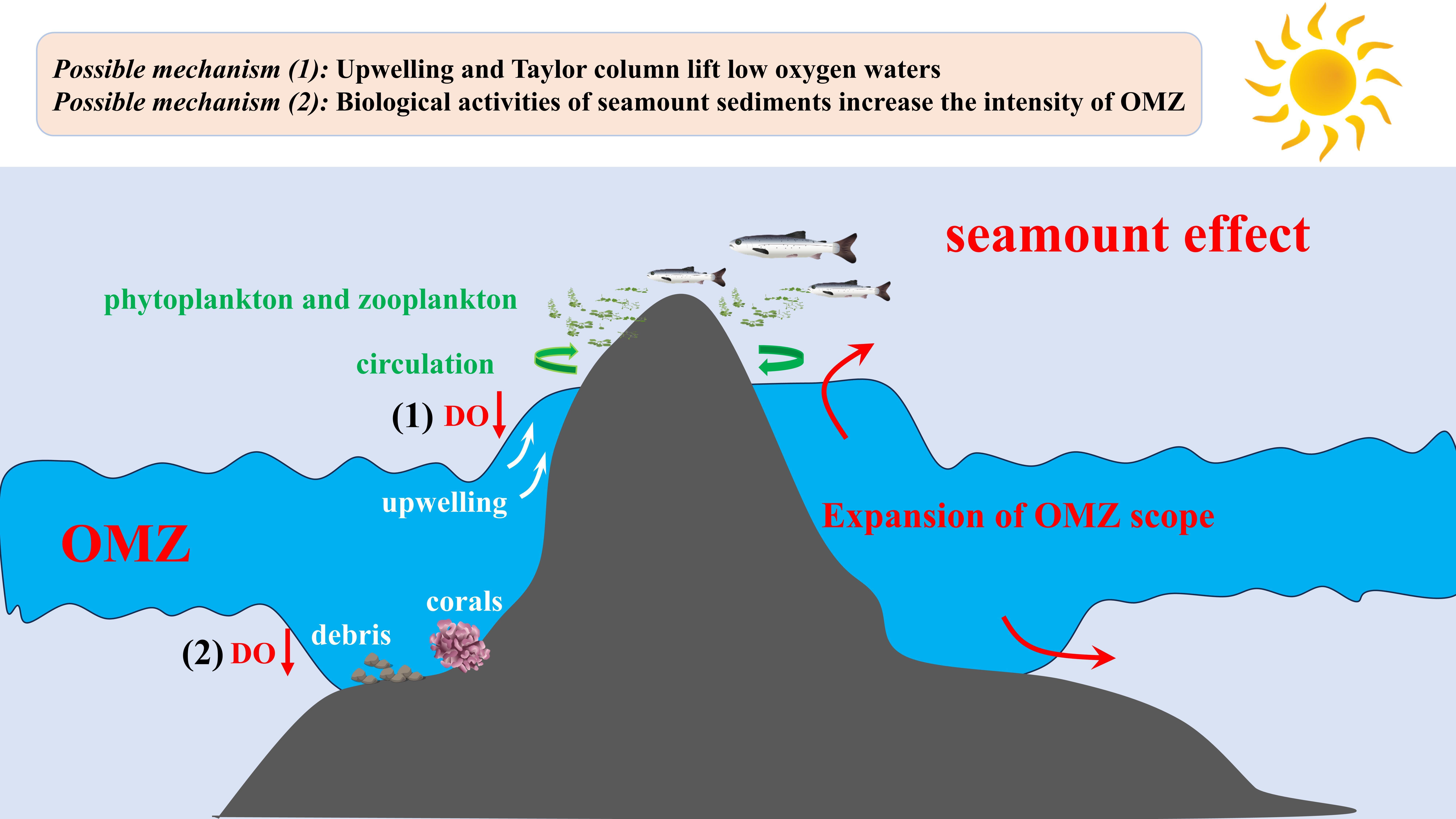 Researchers Discover Seamounts Promote Expansion of Oxygen Minimum Zone in Western Pacific