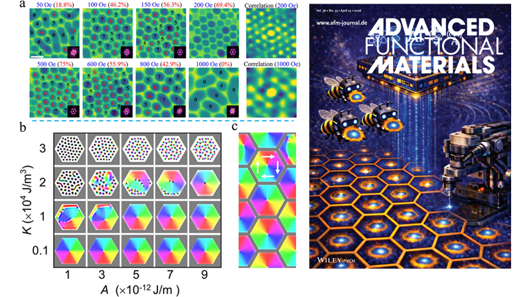 Researchers Reveal How Lattice Shapes Topological Spin Structures in Two-dimensional Magnets