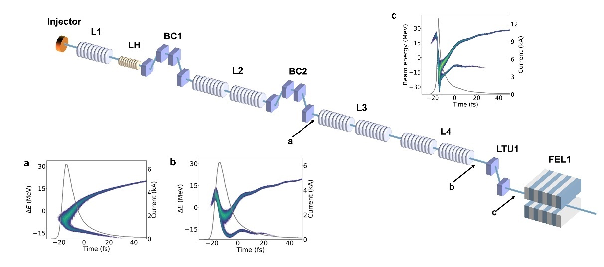 Researchers Generate Continuous-wave Terawatt-scale Attosecond X-Ray Pulses at SHINE