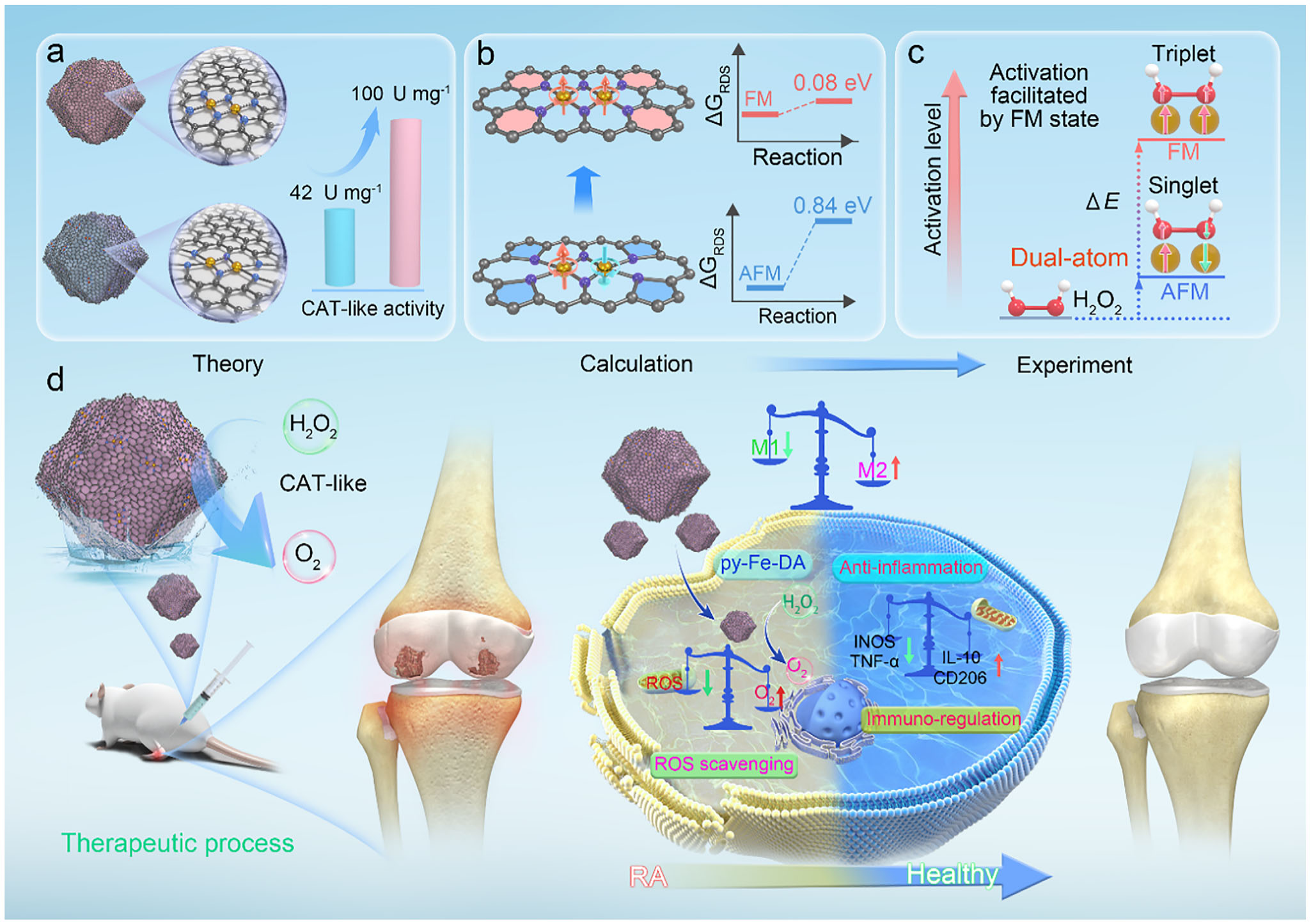 Iron Dual-atom Nanozyme Shows Promise for Treating Rheumatoid Arthritis